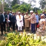 Nchout Njoya Adjara chez le Dr. Alain Doko, pour une professionnalisation de l’oiseau du Sud.