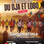 Conseil Régional du Sud : Raymond Barre Mekamba du Sang neuf et surtout pur.